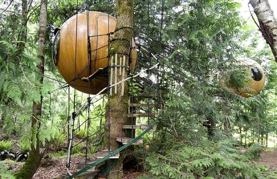 Free Spirit Spheres Hotel