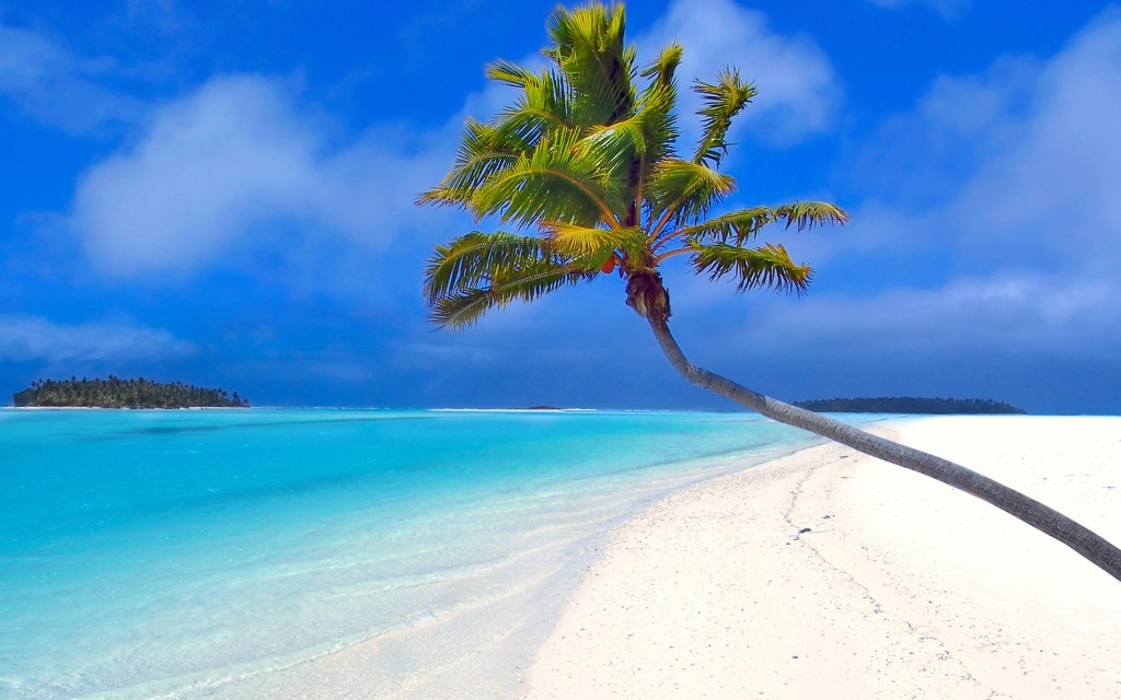 romantic-couple-on-beach-pin-palm-trees-a-the-moon-love-mood-1035873