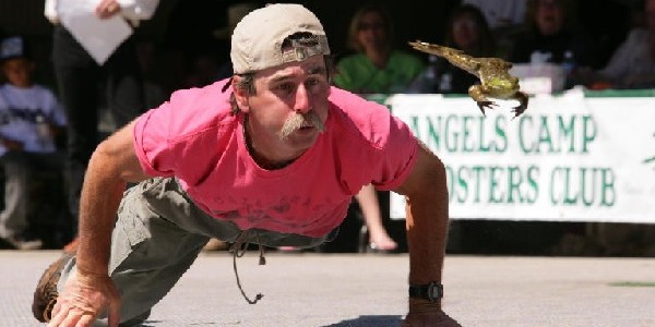 frog jumping